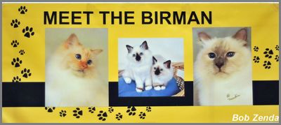 Birman Display 2